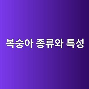 ebb3b5ec88adec9584 eca285eba598ec9980 ed8ab9ec84b1 1786410485